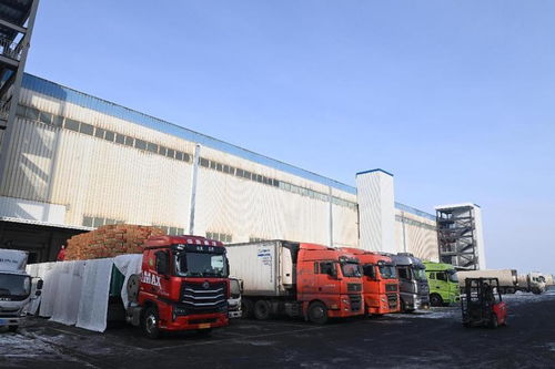 新疆海鴻國(guó)際食品物流港匯通智冷4萬噸倉庫試運(yùn)行，打造國(guó)際冷鏈物流新樞紐