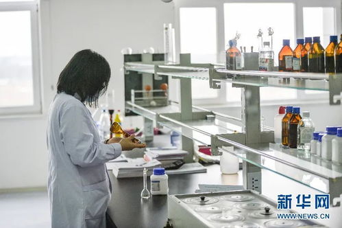 合汽生材 科技賦能飼料業(yè)，網(wǎng)絡(luò)技術(shù)研發(fā)引領(lǐng)產(chǎn)業(yè)升級